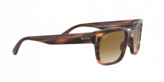 Ray-Ban Jeffrey RB2190 954/51