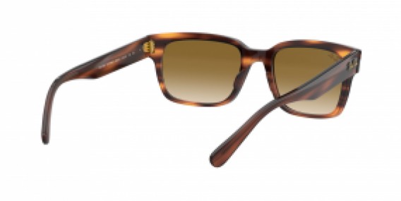 Ray-Ban Jeffrey RB2190 954/51