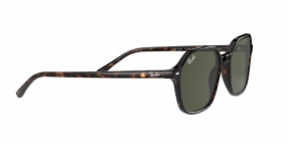 Ray-Ban John RB2194 902/31