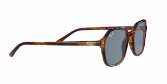 Ray-Ban John RB2194 954/62