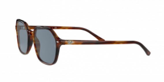 Ray-Ban John RB2194 954/62