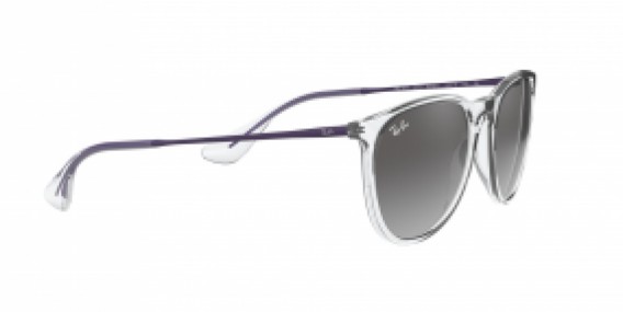 Ray-Ban Erika RB4171 651611
