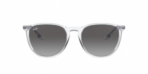 Ray-Ban Erika RB4171 651611