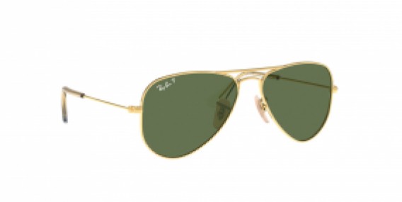 Ray-Ban Junior Aviator RJ9506S 223/2P