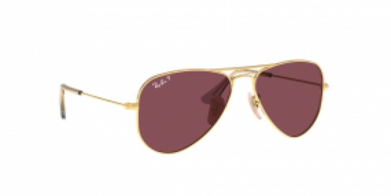 rj9506s aviator junior