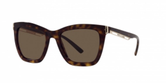 Bvlgari BV8233 504/73