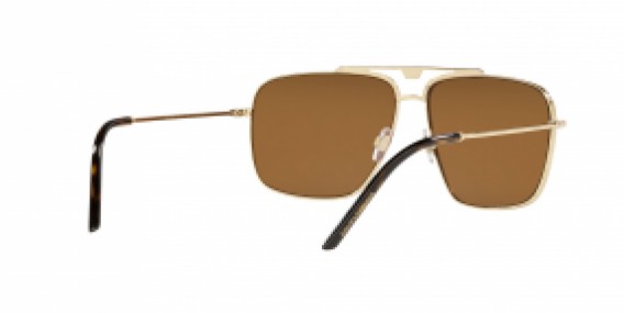 Dolce & Gabbana DG2264 02/73