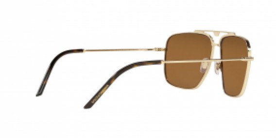 Dolce & Gabbana DG2264 02/73