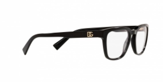 Dolce & Gabbana DG3333 501