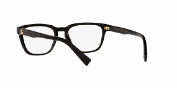 Dolce & Gabbana DG3333 501