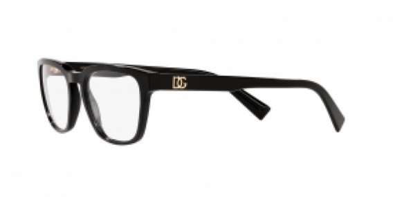 Dolce & Gabbana DG3333 501