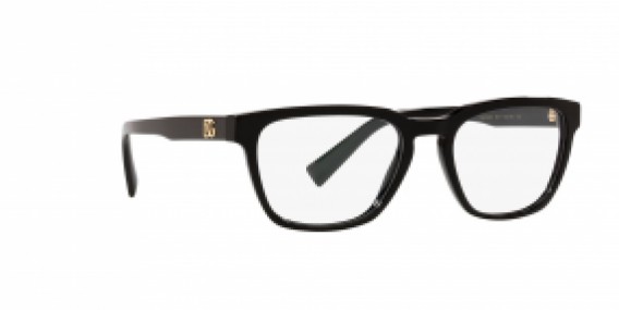 Dolce & Gabbana DG3333 501