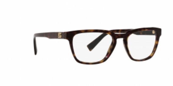 Dolce & Gabbana DG3333 502