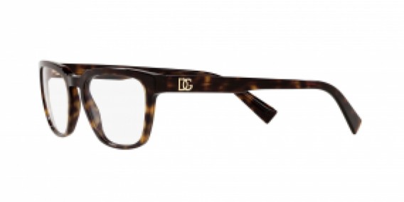 Dolce & Gabbana DG3333 502