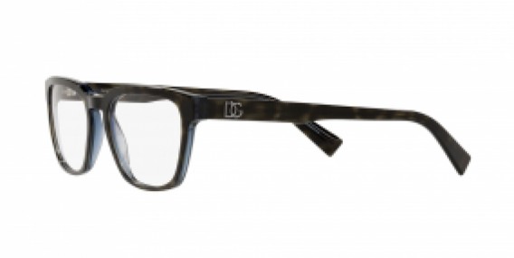 Dolce & Gabbana DG3333 3209