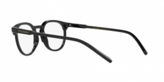 Dolce & Gabbana DG5067 501