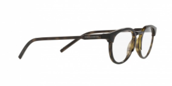 Dolce & Gabbana DG5067 502