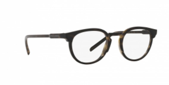 Dolce & Gabbana DG5067 502