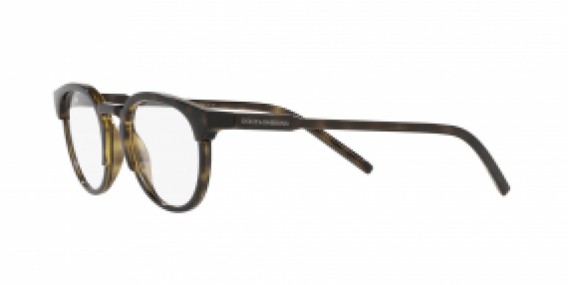 Dolce & Gabbana DG5067 502