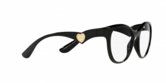 Dolce & Gabbana DG5069 501