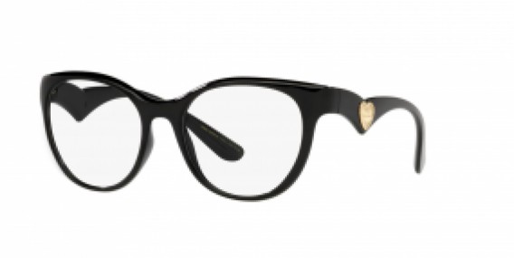 Dolce & Gabbana DG5069 501