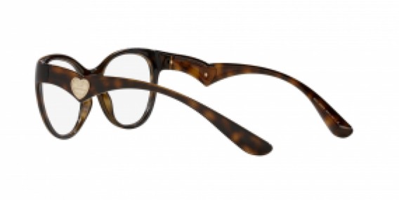 Dolce & Gabbana DG5069 502