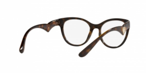 Dolce & Gabbana DG5069 502