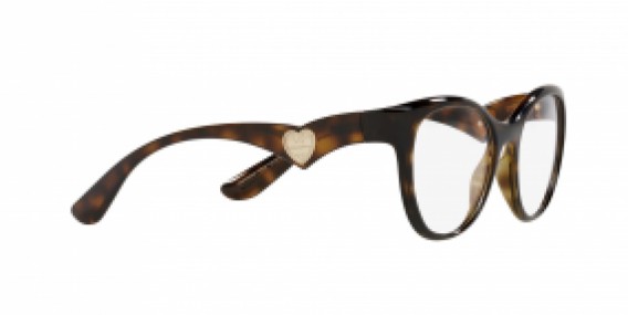 Dolce & Gabbana DG5069 502