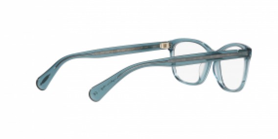 Oliver Peoples OV5194 1617