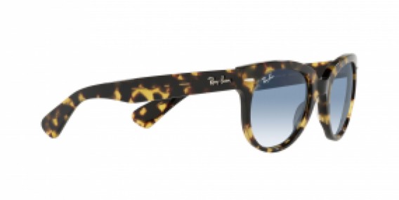 Ray-Ban RB2199 13323F