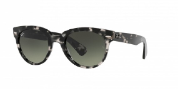 Ray-Ban RB2199 133371