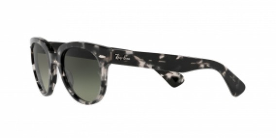 Ray-Ban RB2199 133371