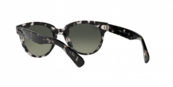 Ray-Ban RB2199 133371