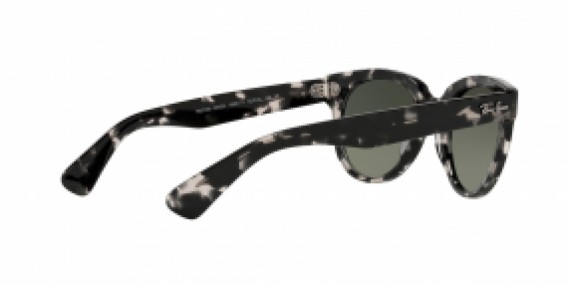 Ray-Ban RB2199 133371