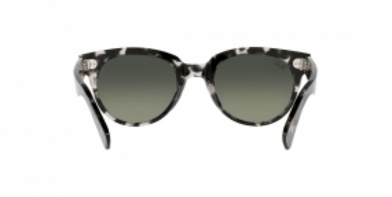 Ray-Ban RB2199 133371