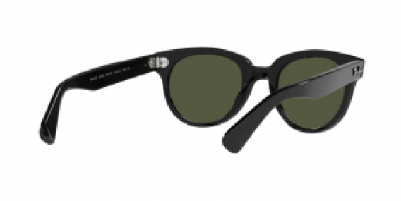 Ray-Ban RB2199 901/31