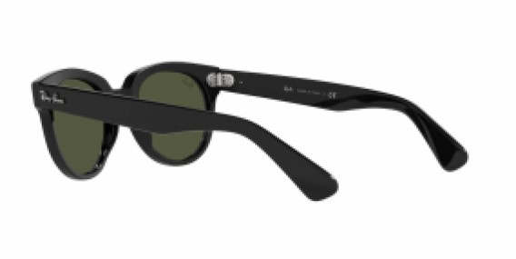 Ray-Ban RB2199 901/31