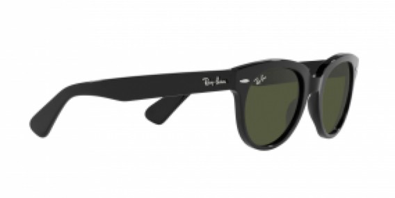 Ray-Ban RB2199 901/31