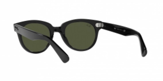 Ray-Ban RB2199 901/31