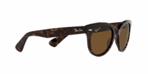 Ray-Ban RB2199 902/57