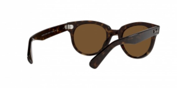 Ray-Ban RB2199 902/57