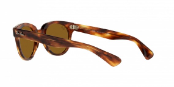 Ray-Ban RB2199 954/33