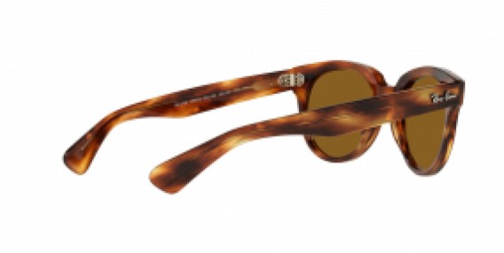 Ray-Ban RB2199 954/33