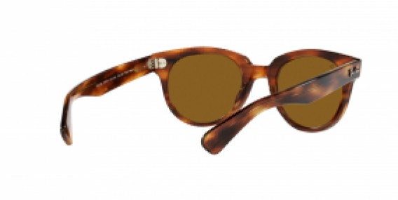 Ray-Ban RB2199 954/33