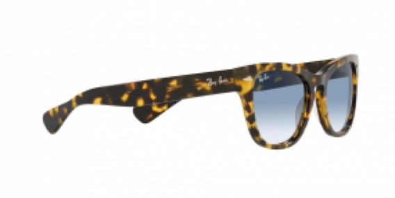 Ray-Ban RB2201 13323F