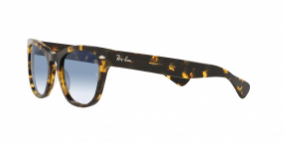 Ray-Ban RB2201 13323F