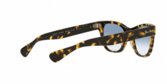 Ray-Ban RB2201 13323F