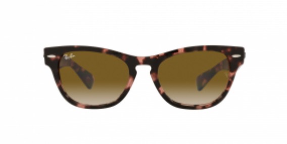 Ray-Ban RB2201 133451