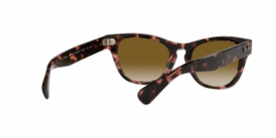 Ray-Ban RB2201 133451