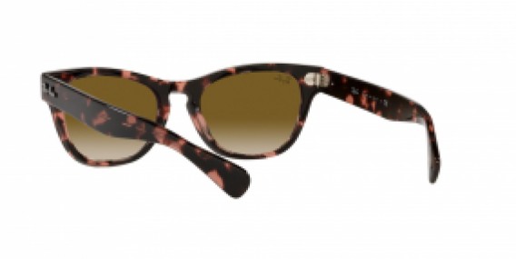 Ray-Ban RB2201 133451